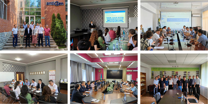 ba46e47aea4841fc8258d39a1a18bde9.png 图片2_副本.png