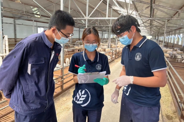 11560222e78840eaa1b17aa14137de22.jpg 图片二 工作人员向队员们介绍上河洋场的发展情况.jpg