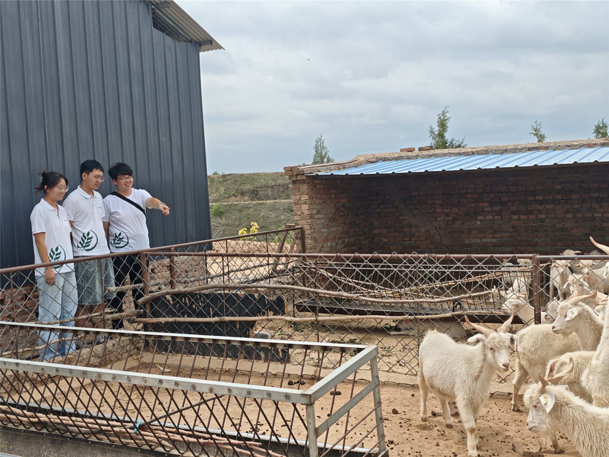 图片二 队员在羊舍旁交流学习.jpg