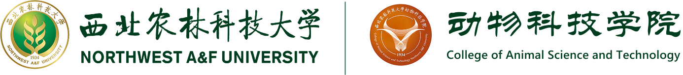 宅宅爱动漫
